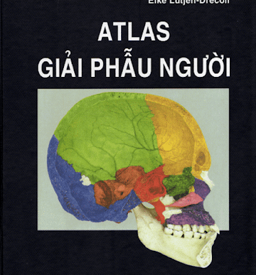 Atlas Giải phẫu người – Rohen&Yokochi – Bản Tiếng Việt